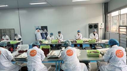 攜手阿里，智造未來 裕鑫博康借力淘工廠加速產(chǎn)業(yè)數(shù)字化升級(jí)